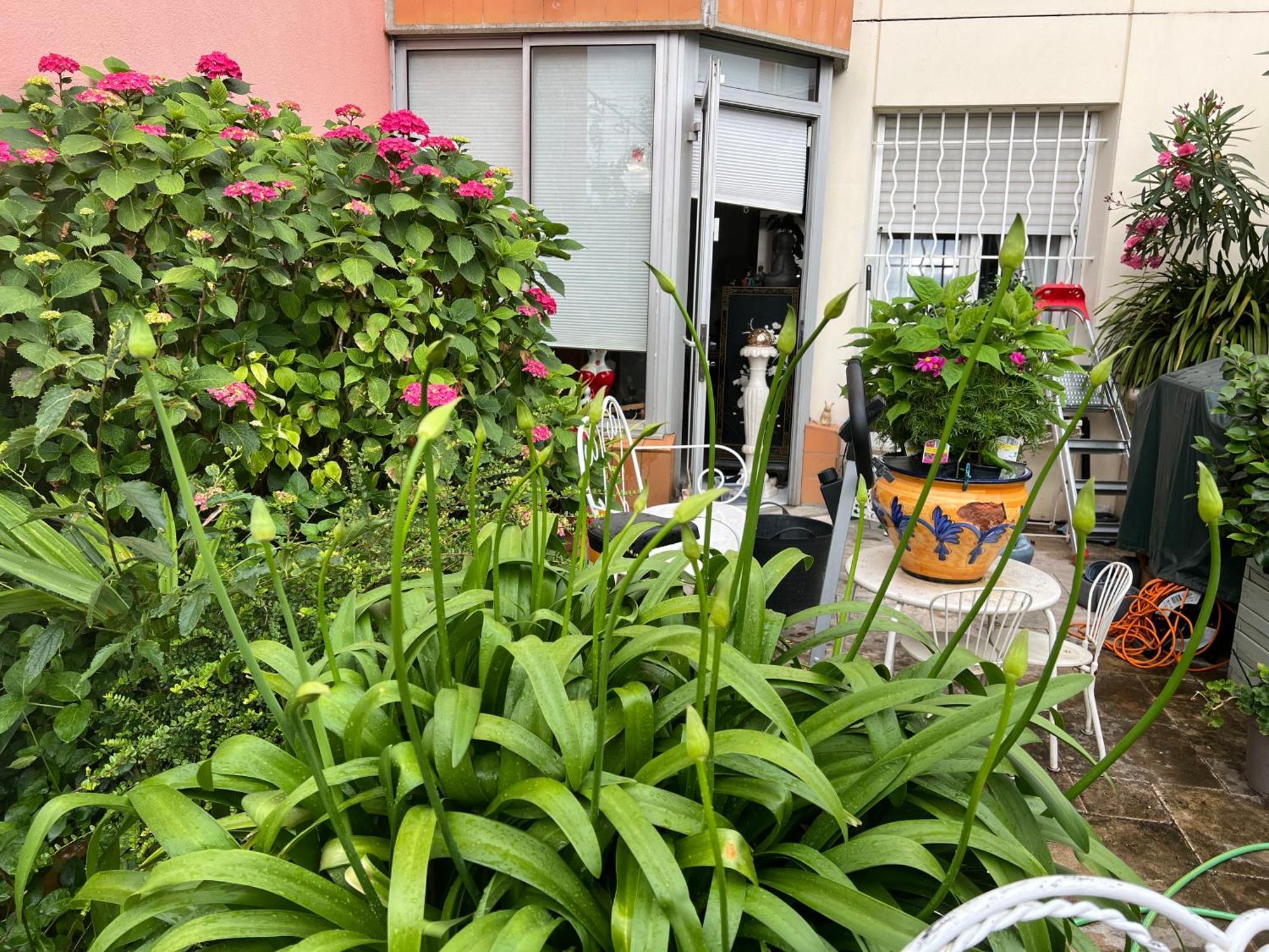 Apparemment Blagnac Proche Tram Apartman Kültér fotó